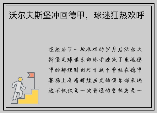 沃尔夫斯堡冲回德甲，球迷狂热欢呼